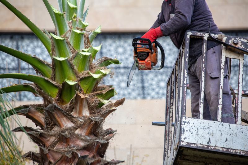 Tree Trimming Service