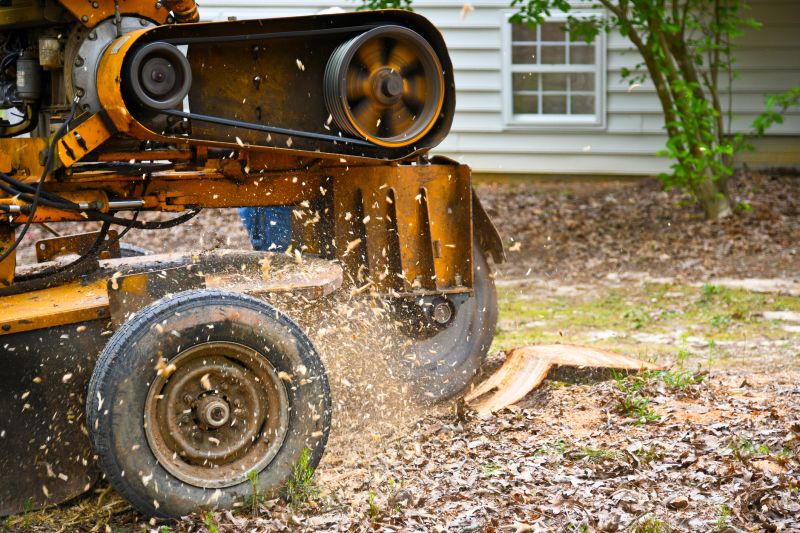 Bush Stump Grinding in Calvert County, MD