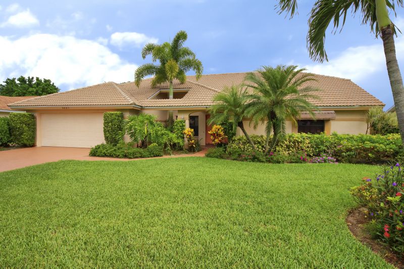 Palm Tree Removal in Bucks County, PA