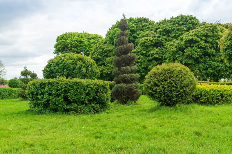 Shrub Pruning in Ventura County, CA