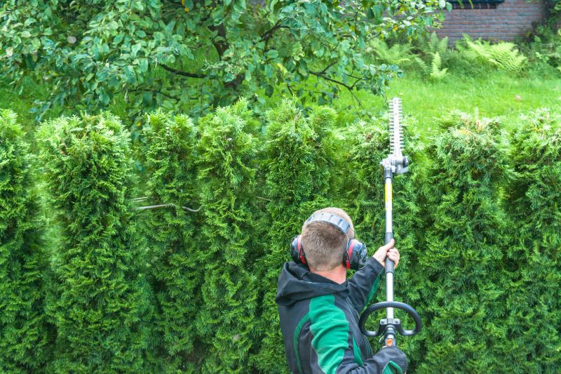 Arborvitae Pruning in Aiken, SC
