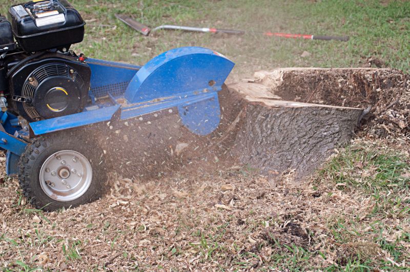Bush Stump Grinding in Calvert County, MD