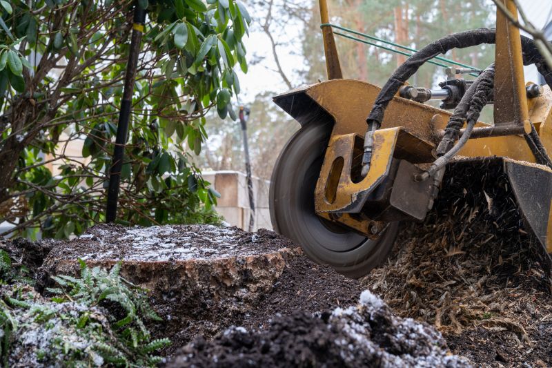 Commercial Stump Grinding in Calvert County, MD