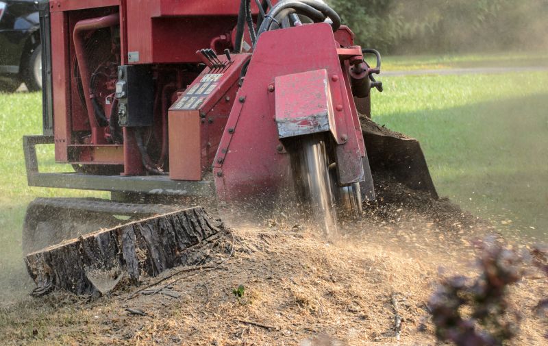 Commercial Stump Grinding in Allentown, PA