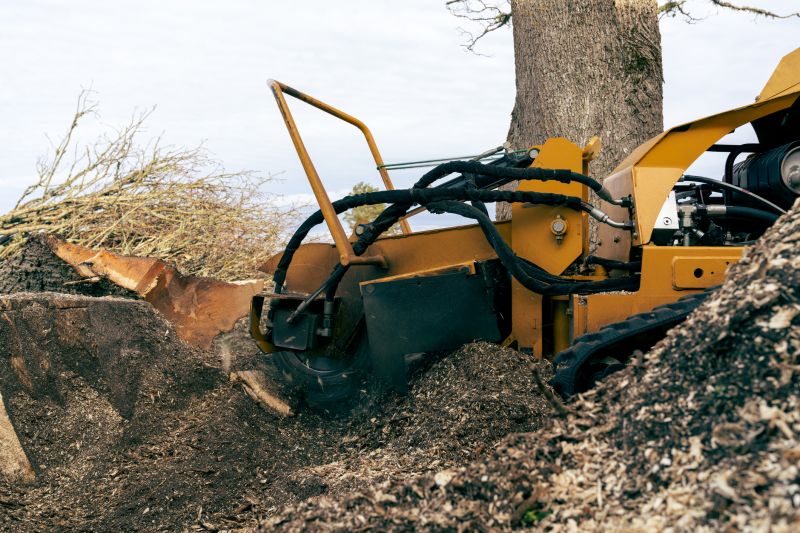 Commercial Stump Grinding in Doylestown, PA