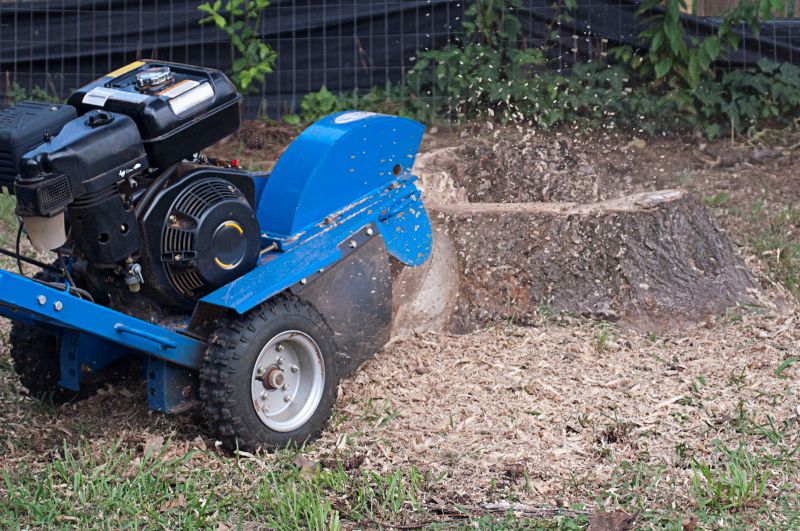 Commercial Stump Grinding in Pottstown, PA