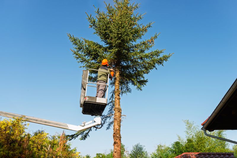 Commercial Tree Trimming in Bucks County, PA