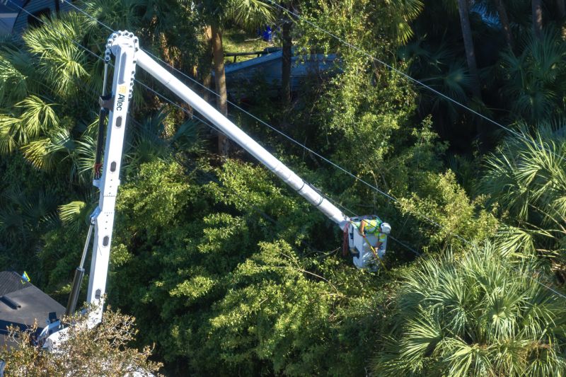 Commercial Tree Trimming in Montgomery County, PA