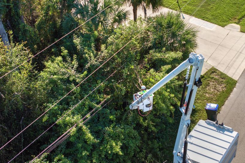 Commercial Tree Trimming in Doylestown, PA