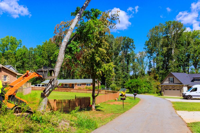 Emergency Tree Removal in Bucks County, PA