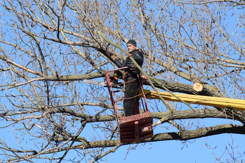 Emergency Tree Trimming in Pottstown, PA