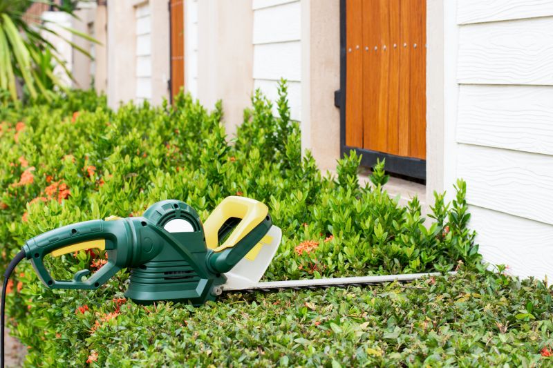 Evergreen Hedge Trimming in Aiken, SC