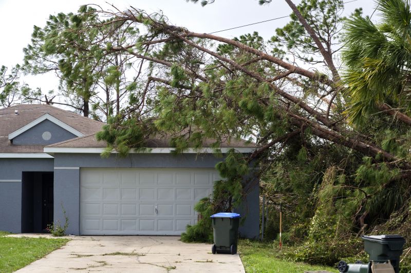 Fallen Tree Removal in Doylestown, PA