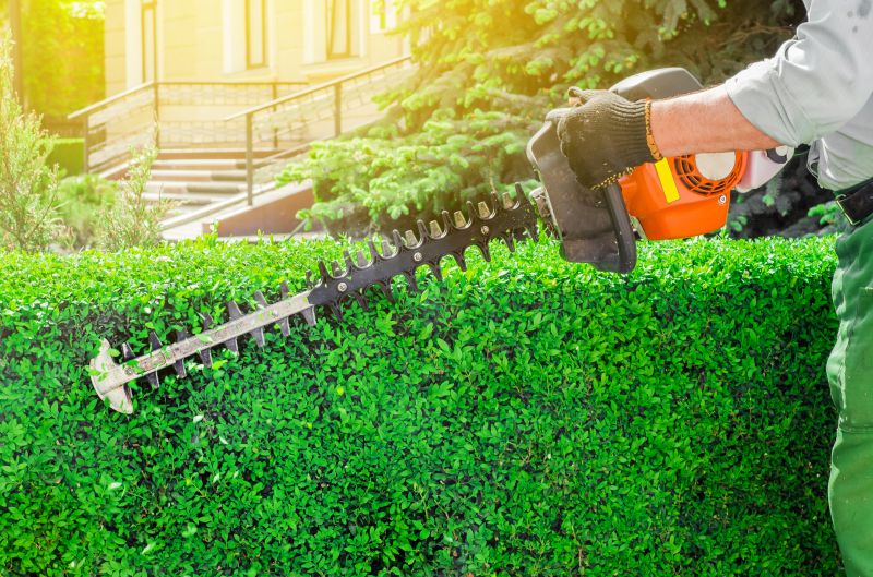 Hedge Shaping Service in Rockwall, TX