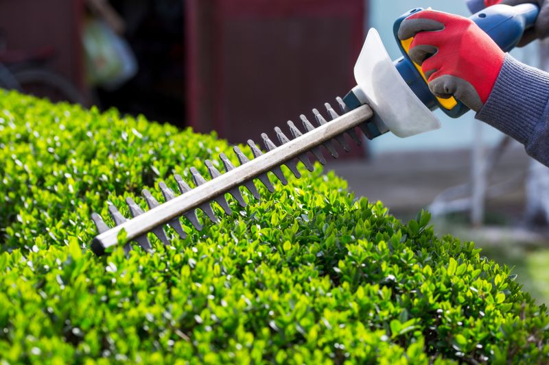 Hedge Shaping Service in Ventura County, CA