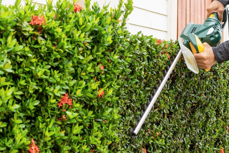 Holly Bushes Trimming in Rockwall, TX