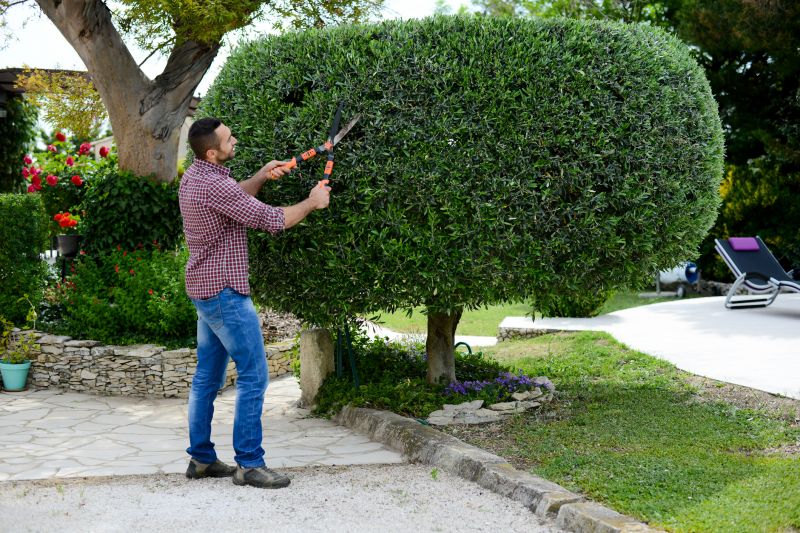 Landscape Trimming Service in Aiken, SC
