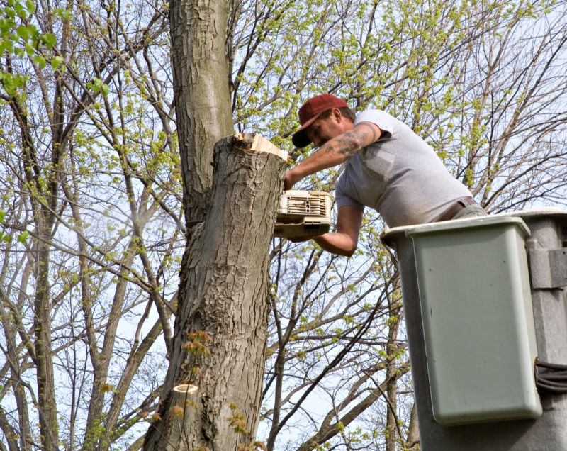 Residential Tree Service in Aiken, SC