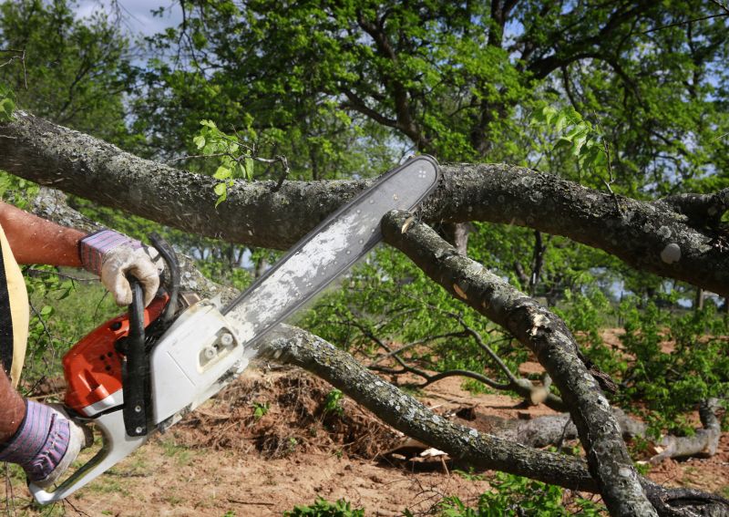 Residential Tree Service in Montgomery County, PA