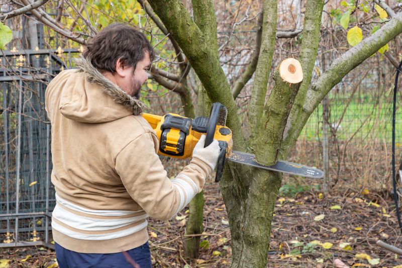 Residential Tree Service in Doylestown, PA