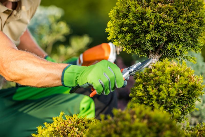 Shrub Pruning in Aiken, SC