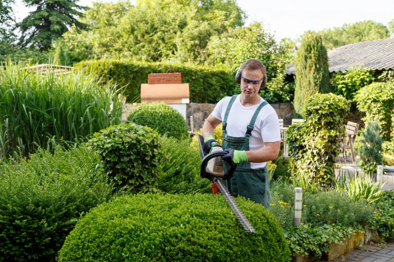 Shrub Shaping in Rockwall, TX