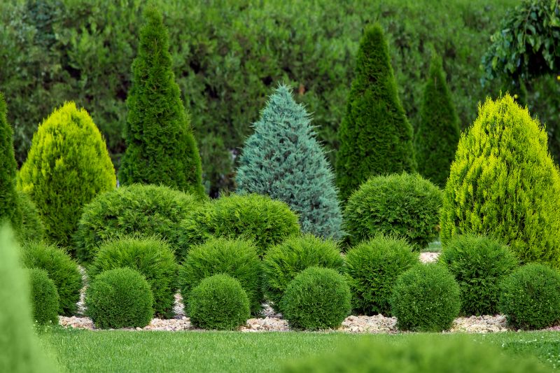 Shrub Shaping in Aiken, SC