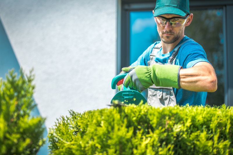 Shrub Trimming in Aiken, SC