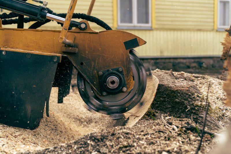 Stump Cutting in Aiken, SC