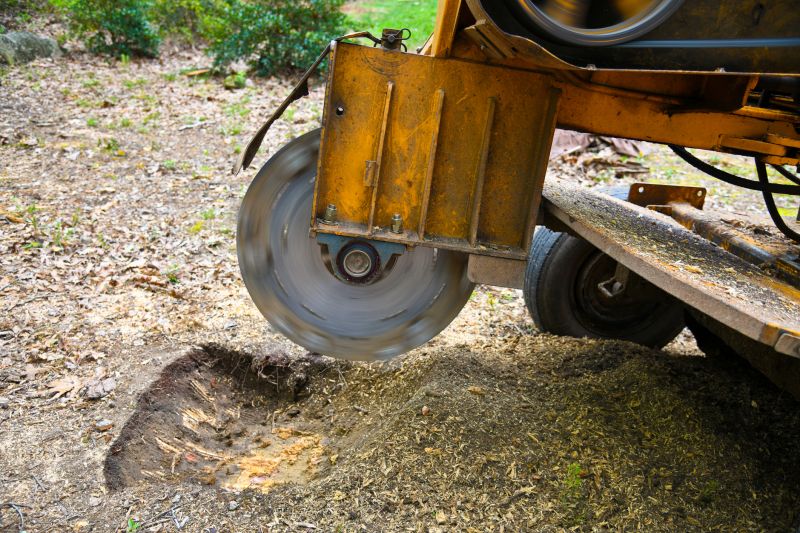 Stump Grinding Service in Waldorf, MD