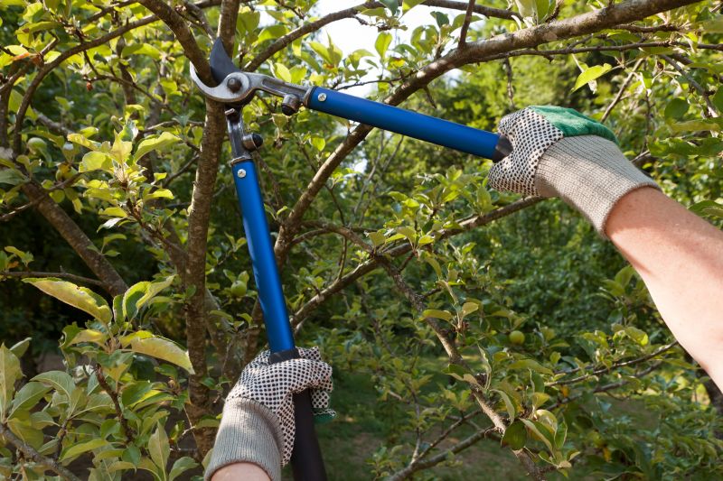 Tree Lopping Service in Doylestown, PA